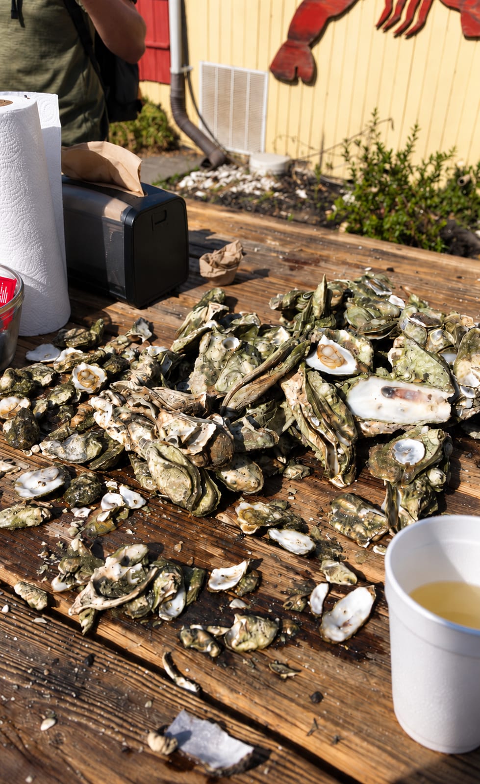 Oysters on a table